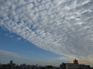 s-P1020182.jpg
