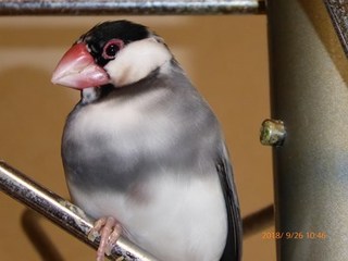 s-P1020213.jpg