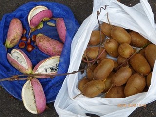 s-P1020258.jpg