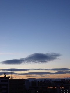 s-P1020264.jpg