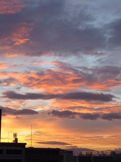 s-P1020269.jpg