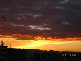 s-P1020354.jpg