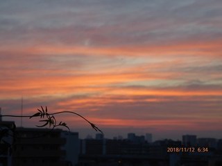 s-P1020356.jpg