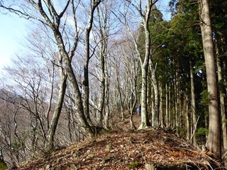 s-P1020365.jpg
