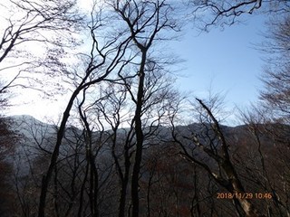 s-P1020366.jpg