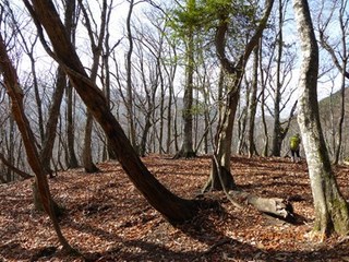 s-P1020373.jpg