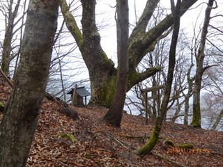 s-P1020374.jpg