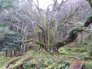 s-P1020393.jpg