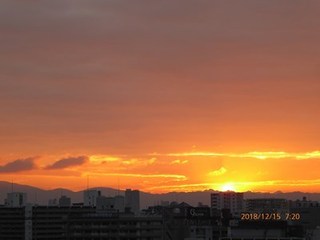 s-P1020412.jpg