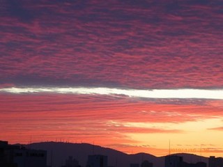 s-P1020429.jpg