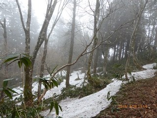 s-P1020453.jpg