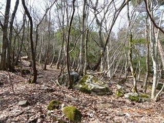s-P1020466.jpg