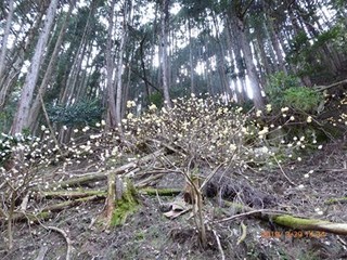 s-P1020477.jpg