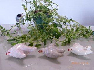 s-P1020514.jpg