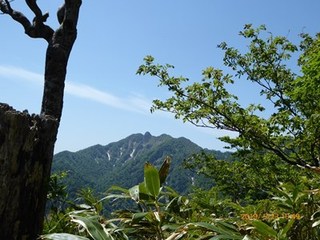 s-P1020533.jpg