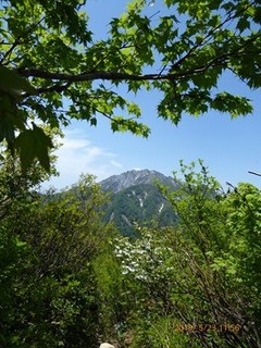 s-P1020535.jpg