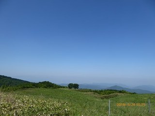 s-P1020544.jpg