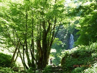 s-P1020548.jpg