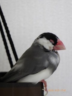 s-P1020640.jpg