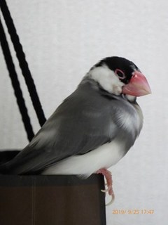 s-P1020641.jpg