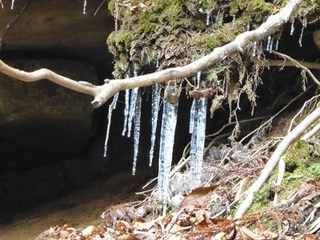 s-P1020670.jpg