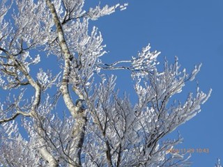 s-P1020683.jpg