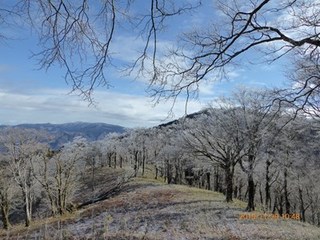 s-P1020690.jpg