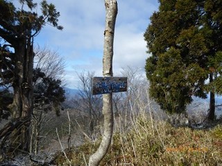 s-P1020712.jpg