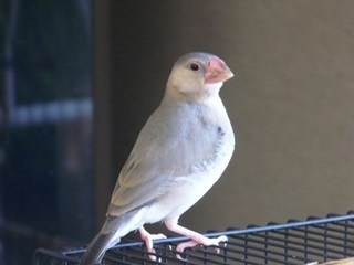 s-P1020740.jpg