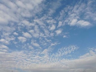 s-P1020775.jpg