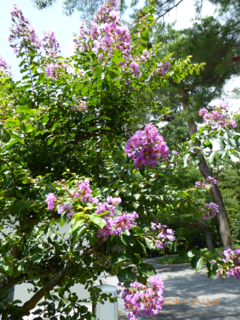 s-P1020895.png