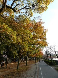 s-P1050463.jpg