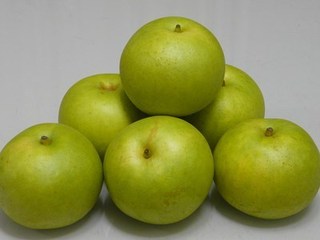 s-P1070462.jpg