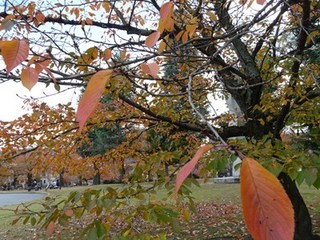 s-P1070919.jpg
