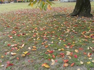 s-P1070920.jpg