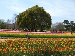 s-P1080355.jpg