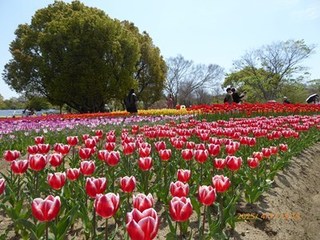 s-P1080359.jpg