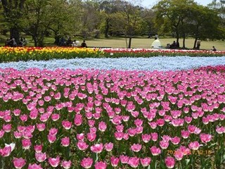 s-P1080365.jpg