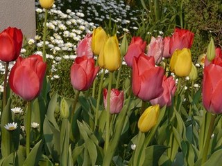 s-P1080387.jpg