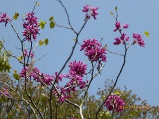 s-P1080403.jpg