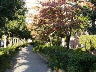 s-P1090448.jpg