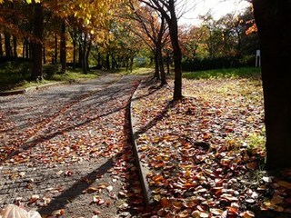 s-P1090720.jpg
