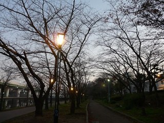 s-P1090755.jpg