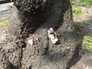 s-P1100273.jpg