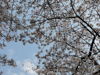 s-P1100281.jpg