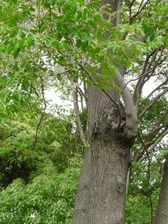 s-P1100639.jpg