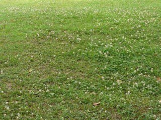 s-P1100643.jpg