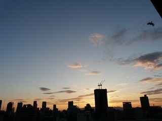 s-P1100956.jpg