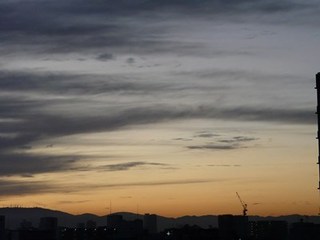 s-P1110264.jpg