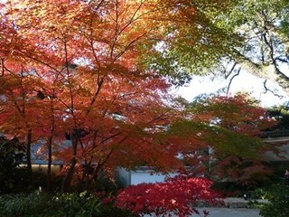 s-P1110500.jpg